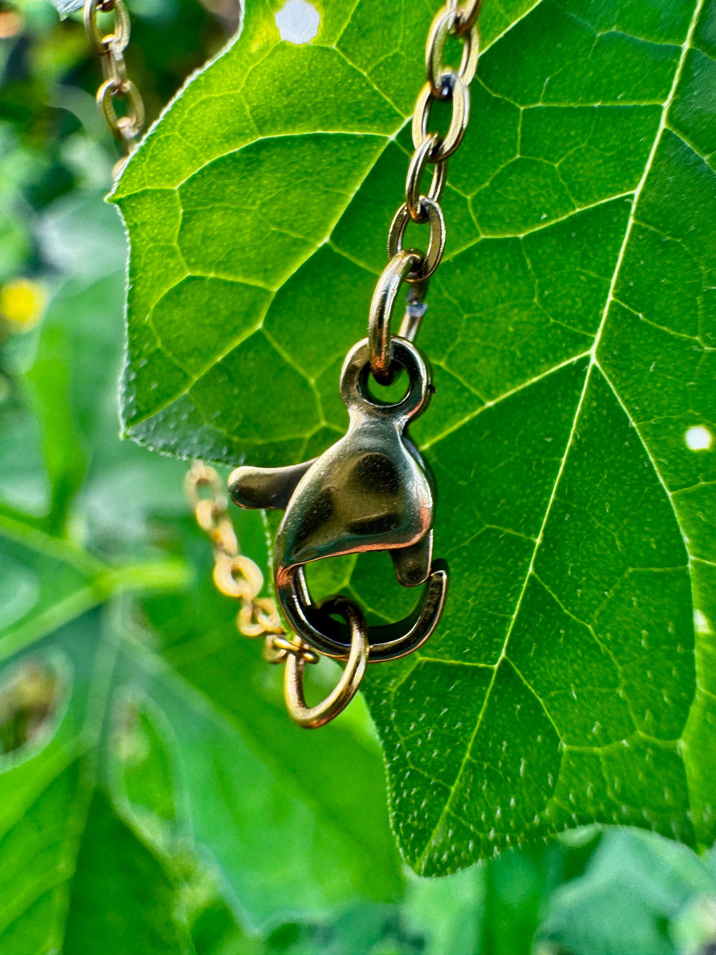 Sol y Perla: color dorado con cadena en Stainless Steel